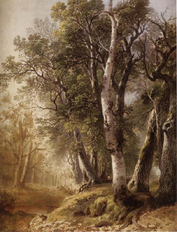 Asher Brown Durand Trees by the Brookside,Kingston oil painting image